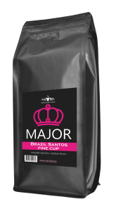 Brazil Santos Fine Cup1