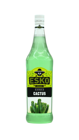 Кактус